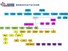 植物蛋白饮料生产工艺