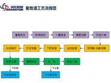 葡萄酒生产工艺